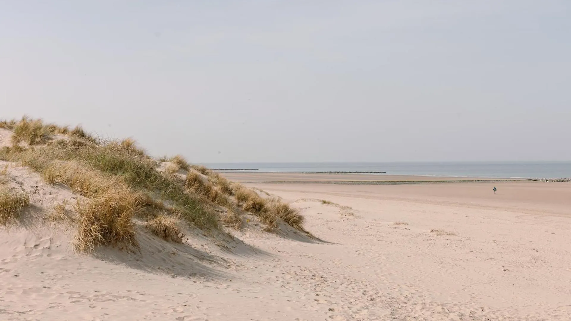 Stylish Apartment With Stunning Open View On Warandeduinen Middelkerke Belgium
